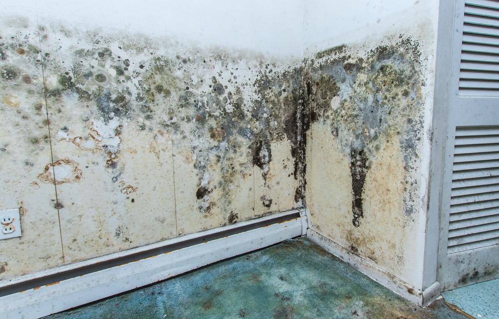 Water damage and mold in a room