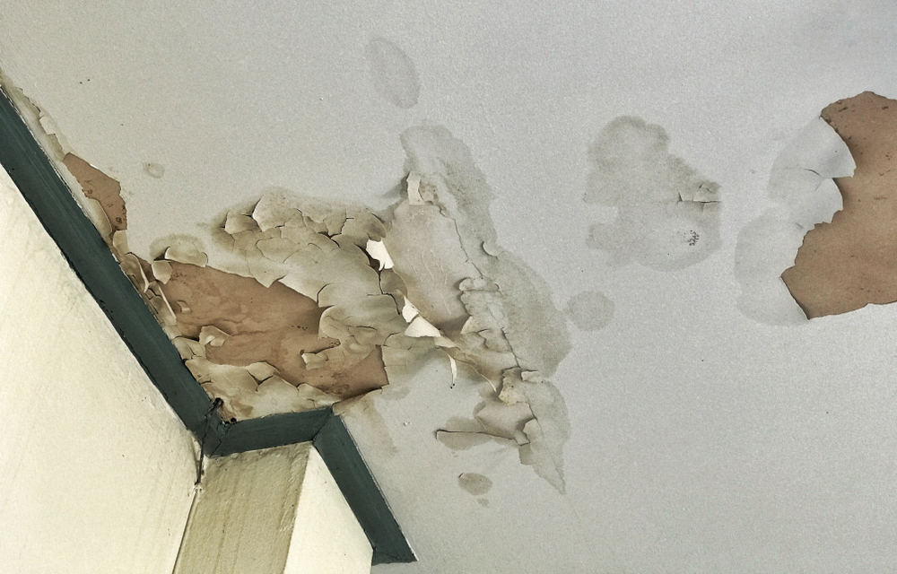 Peeling Ceiling