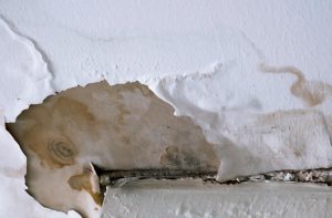 Mold Remediation Needed for a Ceiling